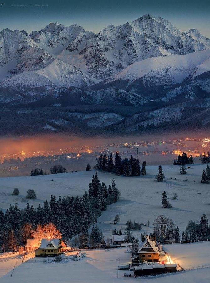 Willa 14 Zakopane Eksteriør bilde