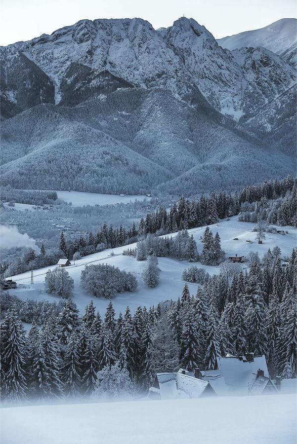 Willa 14 Zakopane Eksteriør bilde